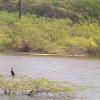 Seasonal Water Pond near Tiruchendur